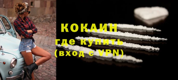 дживик Пестово
