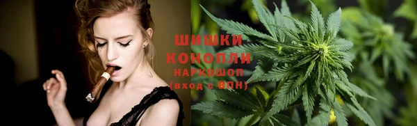 трава Костерёво
