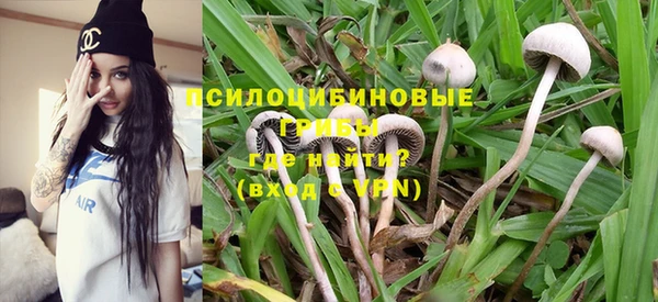 трава Костерёво